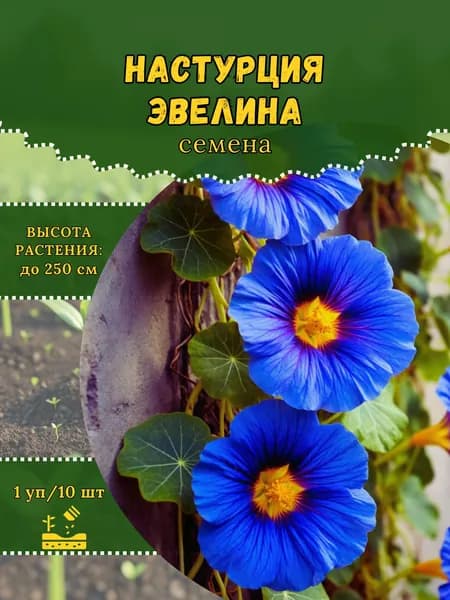 Настурция "Эвелина" семена, 1 пачка