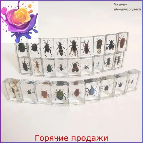 Набор прозрачных коробок для образцов насекомых