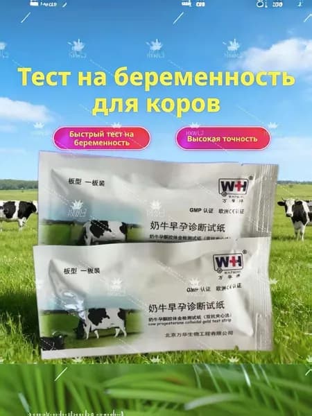 Тест на беременность у коров