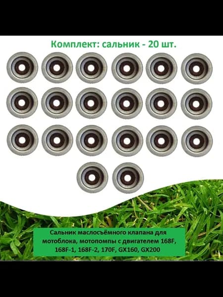 Сальник (20 шт ) маслосъемного клапана двигателя 168F GX200