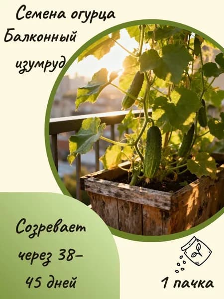 Огурец Балконный изумруд, 10 шт. семян