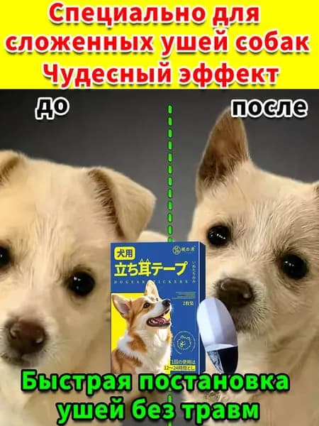 Пластыри для постановки ушей собак