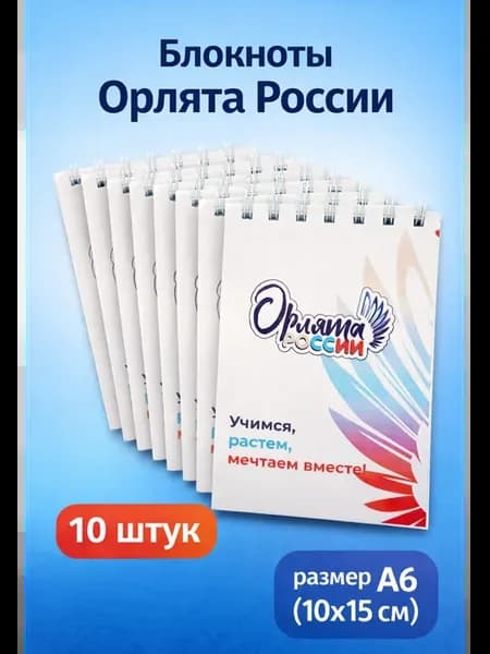 Блокноты Орлята России 10 шт, А6, 30 листов