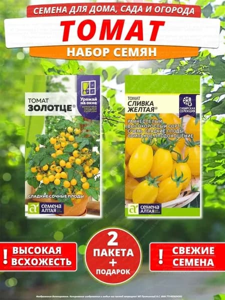 Семена томат для дома сада посадки