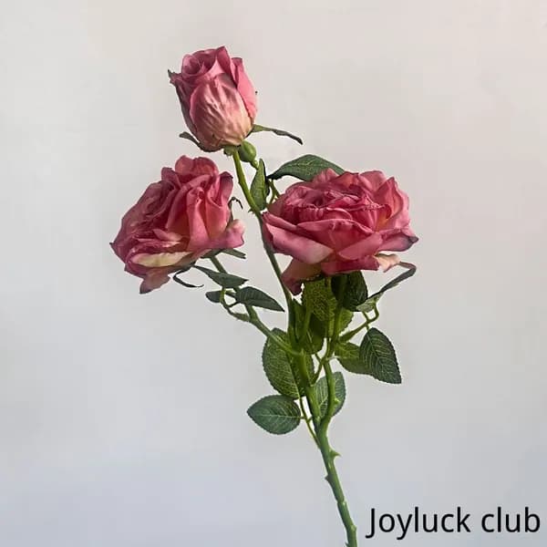Стабилизированные цветы, 1 шт