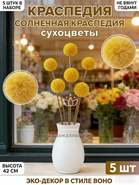 Сухоцветы 42 см 5 шт горчичный