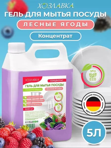 Средство для мытья посуды/Гель, концентрат "Лесные Ягоды" 5 л. Биоразлагаемое моющее средство для мытья посуды, овощей и фруктов/ХОЗЛАВКА
