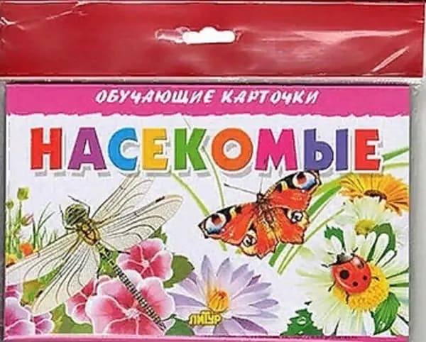 Обучающие карточки "Насекомые"