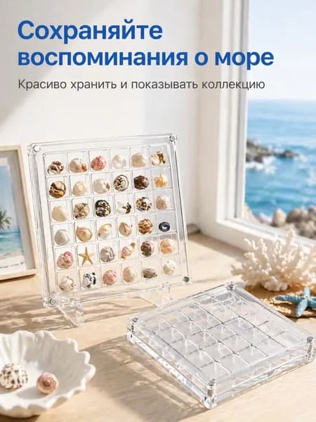 Органайзер для ракушек акриловый прозрачный, 36 ячеек, магнитный бокс для коллекции
