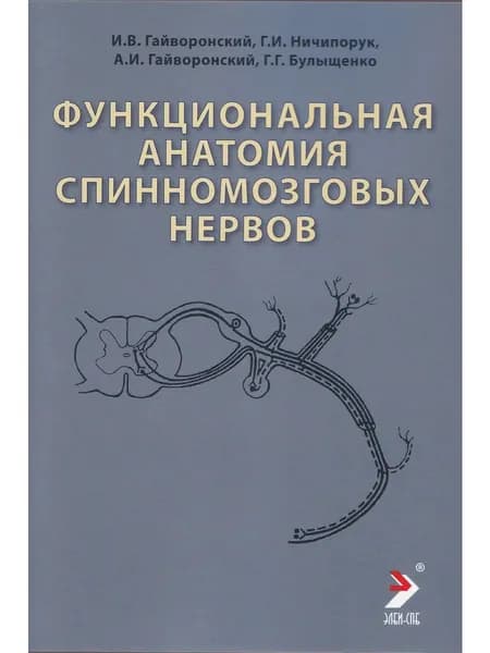 Функциональная анатомия спинномозговых нервов