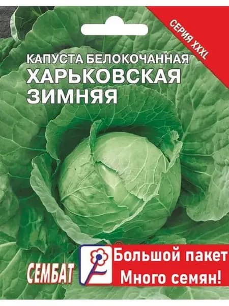 Семена Капуста Харьковская зимняя 3г
