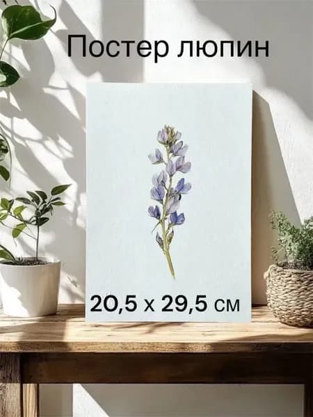 Постер "Люпин", 29 см х 20 см