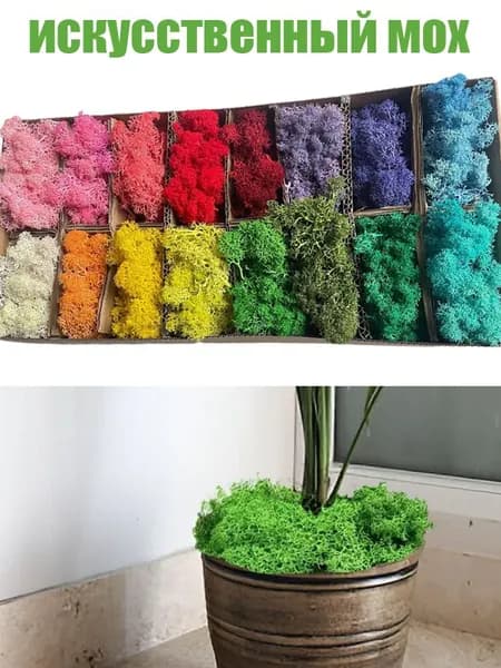 Стабилизированный мох Мох, 20 гр