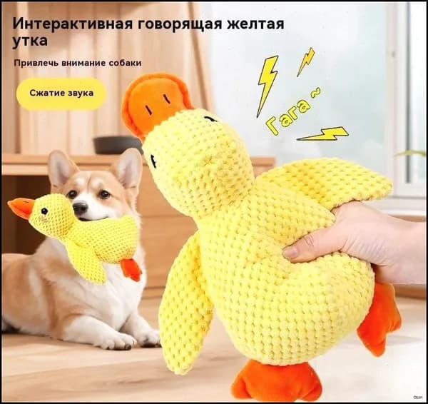 Эксклюзивная забава для питомцев
