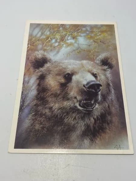 Открытка 1989 г. Медведь