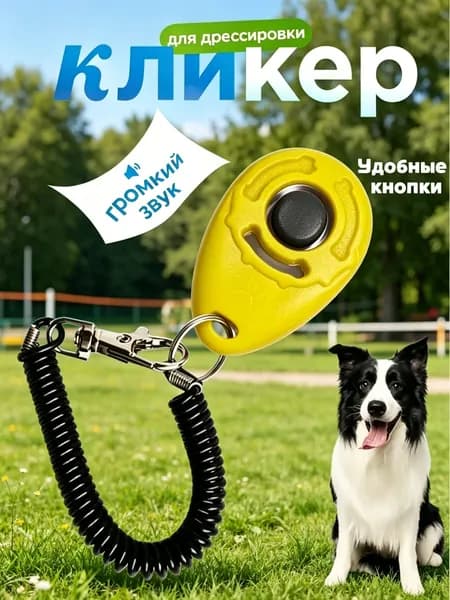Кликер для дрессировки собак браслет, оранжевый