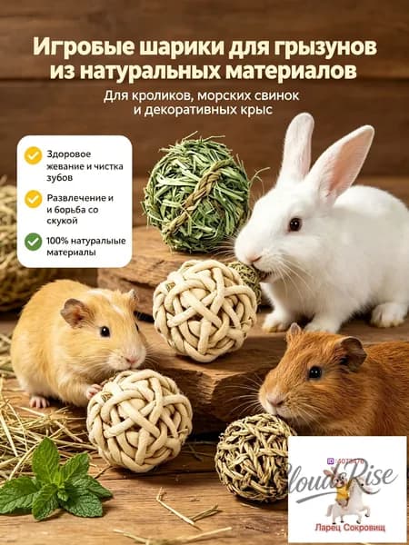 Игрушка для декоративного кролика / морской свинки, 3 шт.