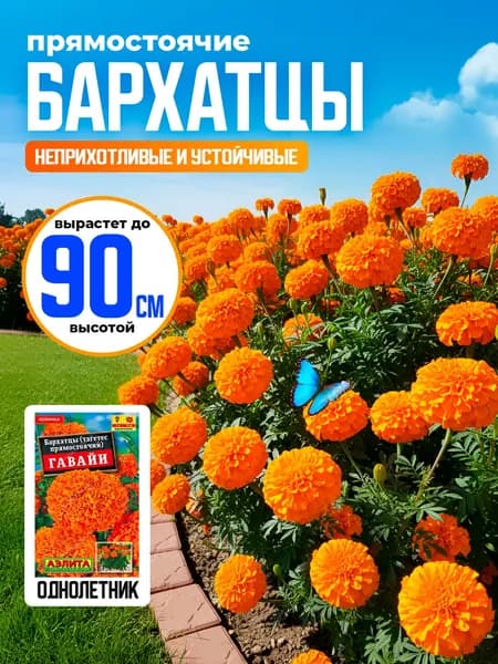 Бархатцы семена Гавайи прямостоячие 0,3г