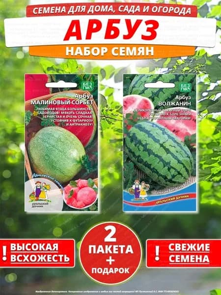 Семена арбуз для дома сада посадки