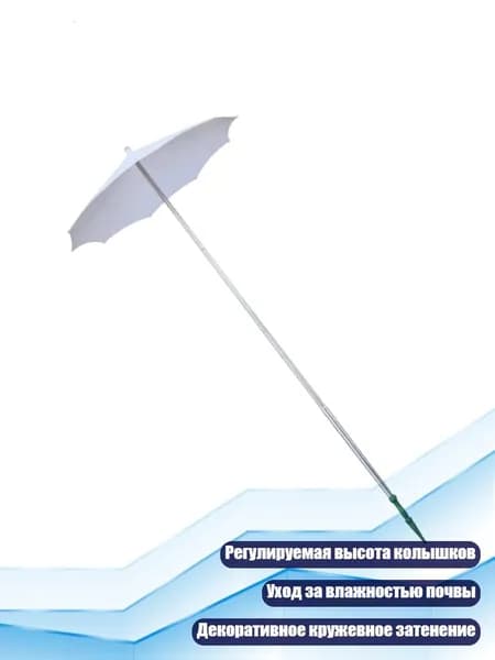 Куполх6см