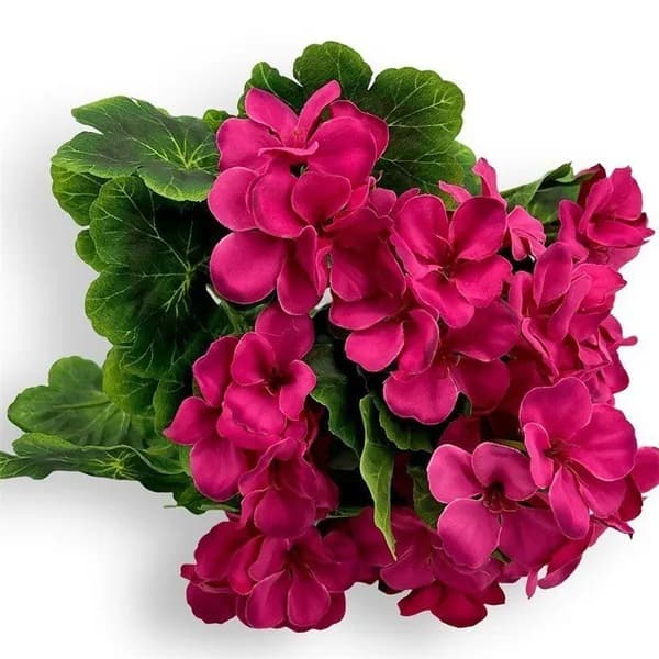 Сейсмограф, стиль New Rose Red