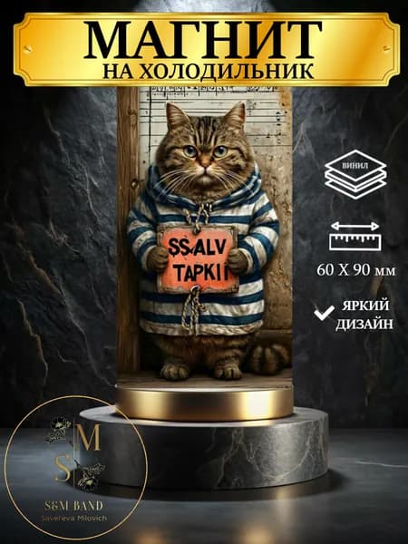 Магнит на холодильник Кот прикол