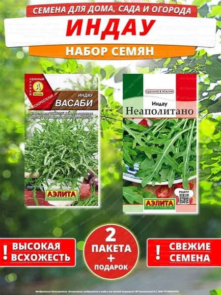 Семена индау для дома сада посадки
