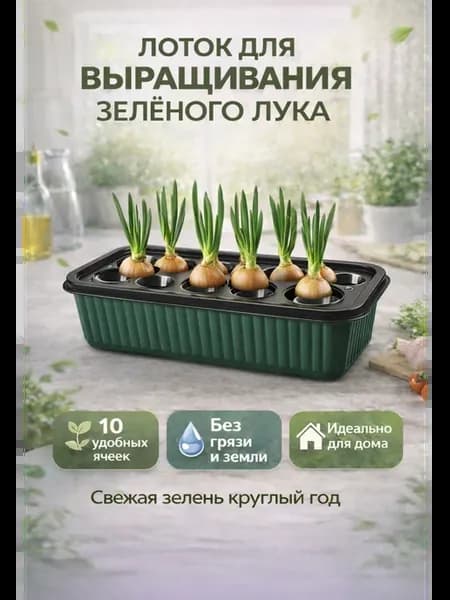 Лоток для выращивания лука