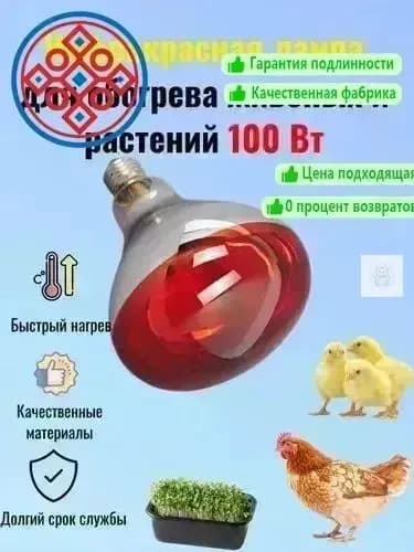 Лампа инфракрасная для обогрева цыплят, кур, свиней, растений и теплиц 100 Вт