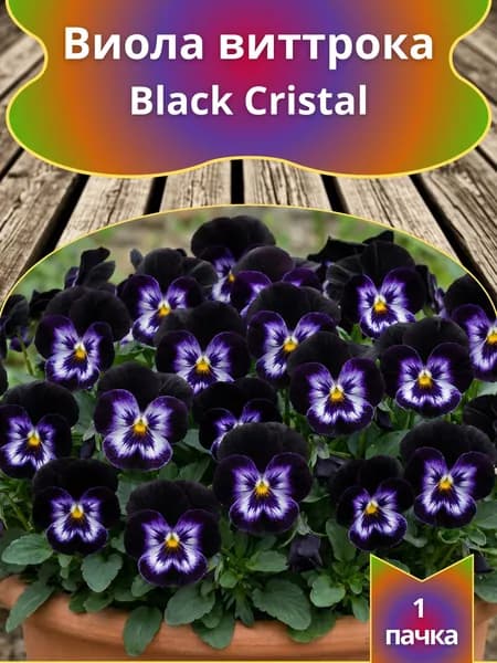 Виола Виттрока Black Cristal 10 шт