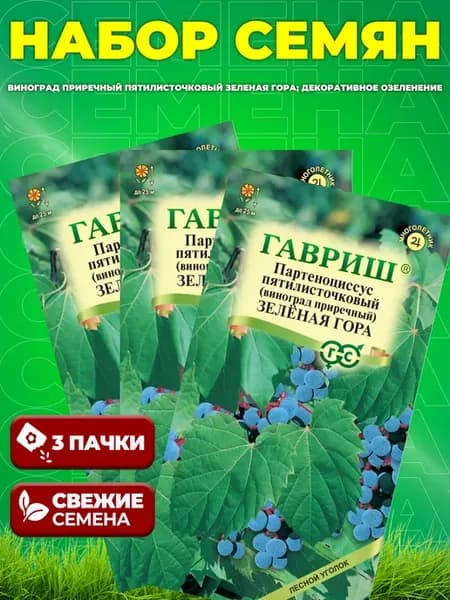 Набор семян декоративной лианы партеноциссус, 5 шт
