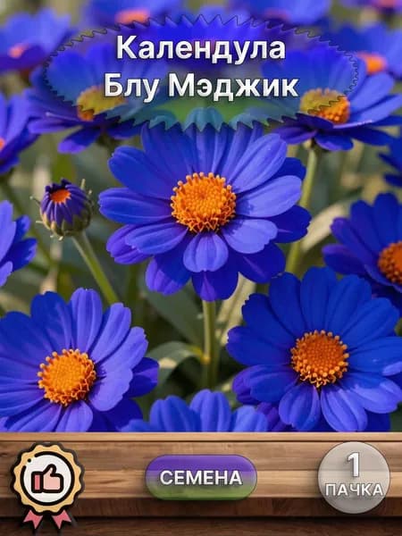 Календула Блу Мэджик, семена 10 шт.
