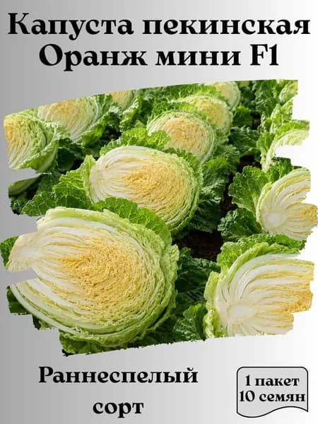 Коллекционные семена капусты пекинская F1 Оранж мини