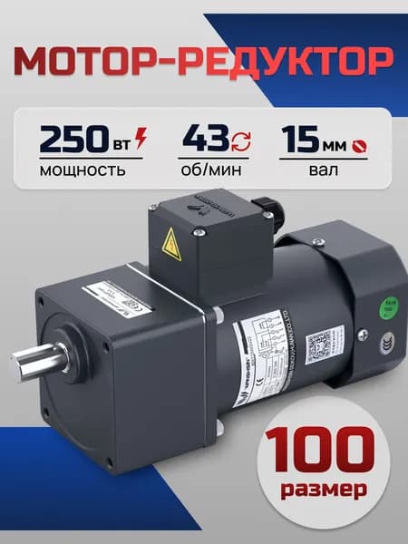 Мотор-редуктор 100YS250WGV22H/100GF30H 250 Вт 43 об/мин 220 В