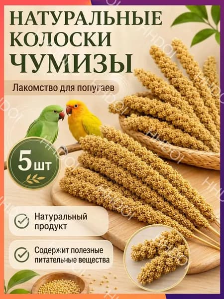 Чумиза для попугаев 5 шт. сенегальское просо лакомство игрушка для птиц и грызунов , урожай 2025 года - КОПОШИЛКА бренд от производителя