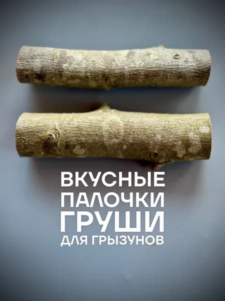Вкусные палочки для грызунов Груша 2 шт
