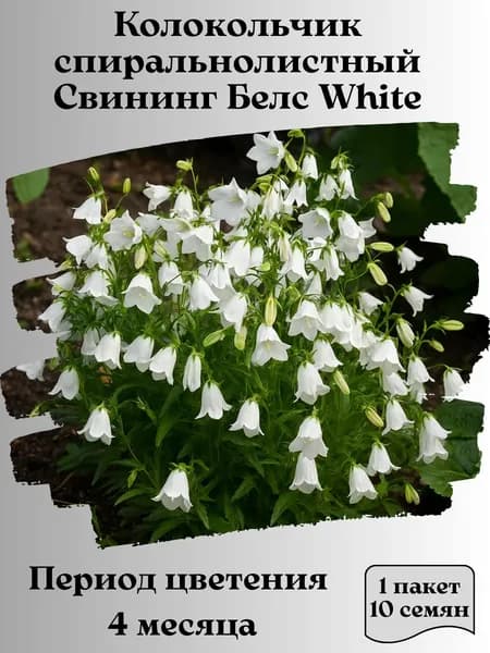Колокольчик спиральнолистный Свининг Белс White, 10 шт., 15 гр.