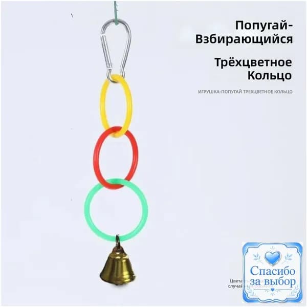 Премиумкомплект для попугая с 3 цветными кольцами и колокольчиком, созданный для новичков