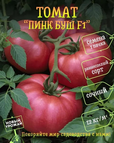 Томат Пинк Буш F1, семена, 10 шт.