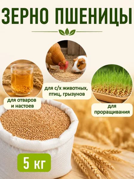 Пшеница кормовая для животных и птицы для проращивания, 10 кг