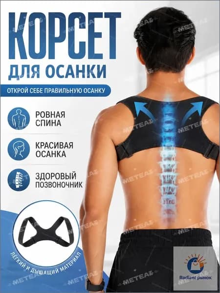 Тренажер для спины ANG000347