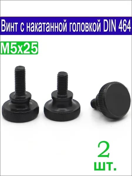 Винт M5 x 5 x 25 мм, головка: Круглая, 2 шт.