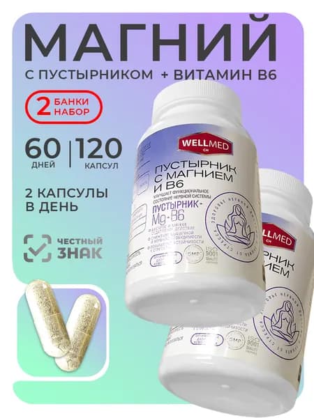 WELLMED CH Набор 2в1 Магний B6 с пустырником для нервной системы для взрослых, бад от стресса, 120 капсул