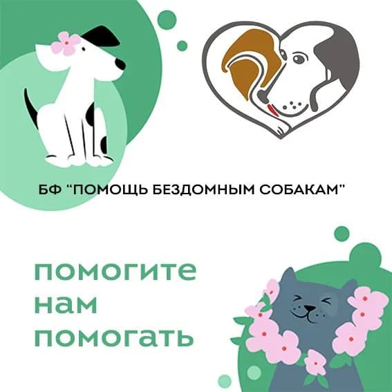 Благотворительный сертификат БФ "Помощь бездомным собакам"