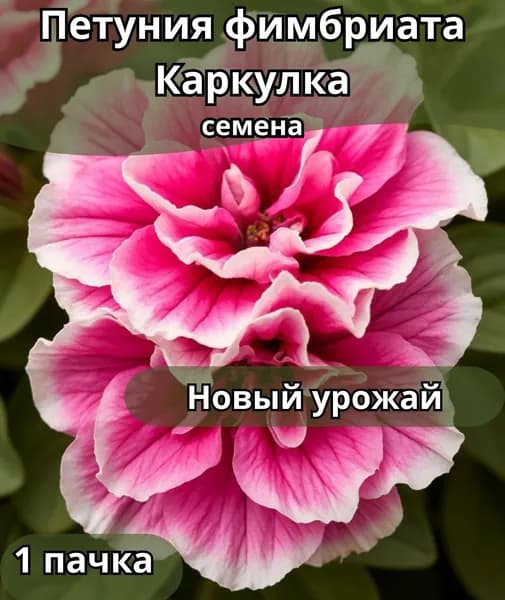 Петуния фимбриата Каркулка, семена 1пачка