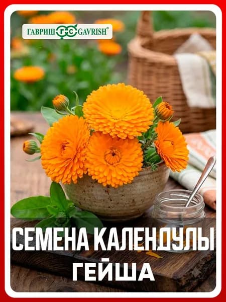 Семена Календула "Гейша" 0,3 гр, однолетние цветы для дачи, сада и огорода, клумбы, в открытый грунт, на рассаду, в контейнер.