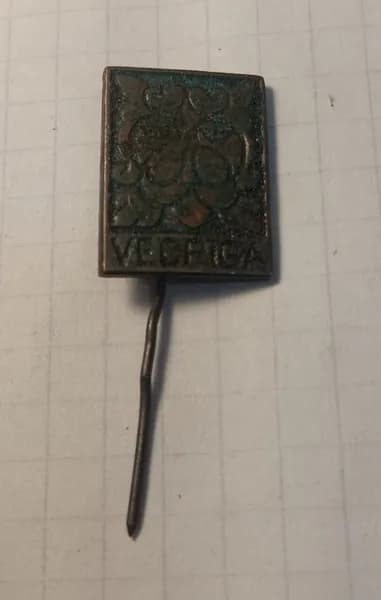 Значок "VECR GA"