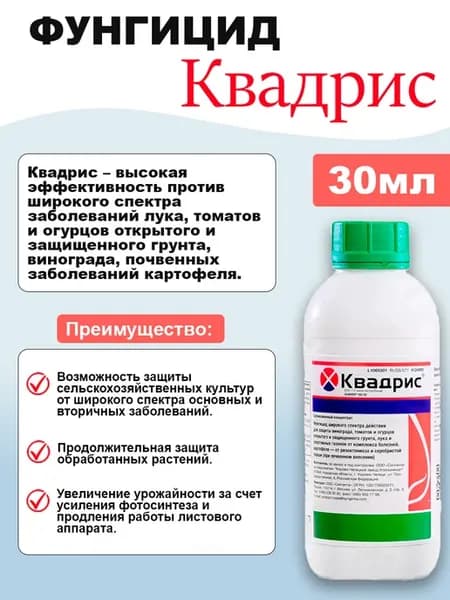 Квадрис СК