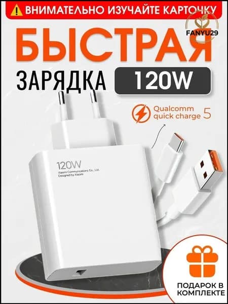 Сетевое зарядное устройство 1