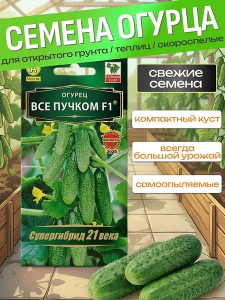 Семена огурцов для открытого грунта для теплиц самоопыляемые Все пучком F1